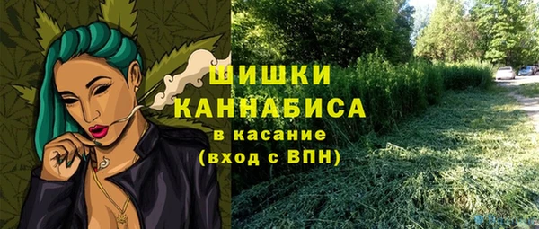 шишки Алзамай