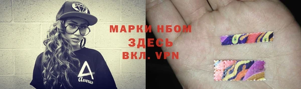шишки Алзамай