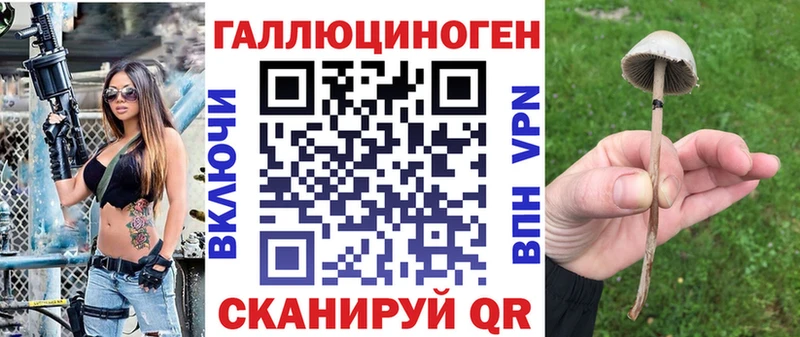 Купить закладки Исилькуль Галлюциногенные грибы MAGIC MUSHROOMS